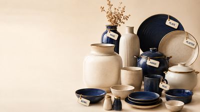 Ceramic tableware and pottery items